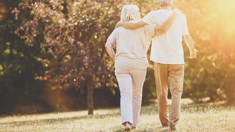 découvrez le casino le lavandou, profitez des meilleurs jeux et conseils pour maximiser vos gains et passer un moment inoubliable.