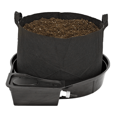 découvrez comment choisir le megapots idéal pour vos plantes et profitez d'une croissance optimale grâce à nos conseils pratiques et astuces.