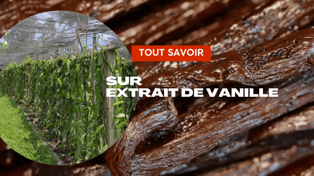 découvrez comment maximiser vos gains au clubmaster vanille en  grâce à nos stratégies et conseils optimisés pour un succès garanti.