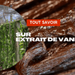 Clubmaster vanille : comment maximiser vos gains en 2026