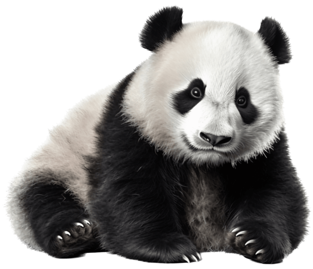 découvrez comment maximiser vos gains sur panda gold en  avec nos astuces et stratégies efficaces pour les jeux.