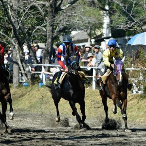 A group of people riding on the backs of horses