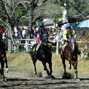 A group of people riding on the backs of horses